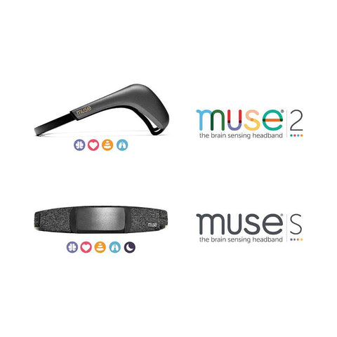 MUSE HEAD BAND - EQUIPOS